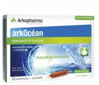 Arkocean Magnesium Marin Solution Buvable Caramel 20 Ampoules/10ml à VERNON